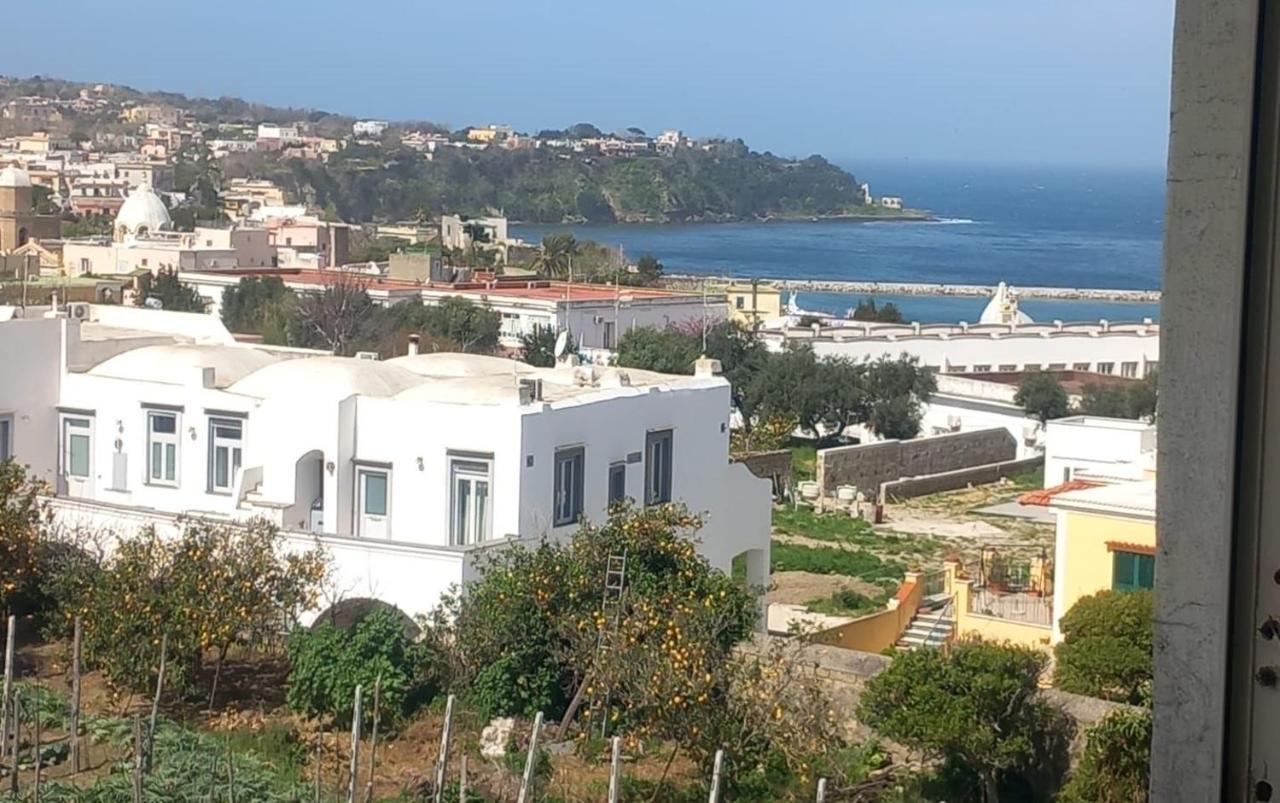 Willa La Casa Dei Sogni Procida Zewnętrze zdjęcie