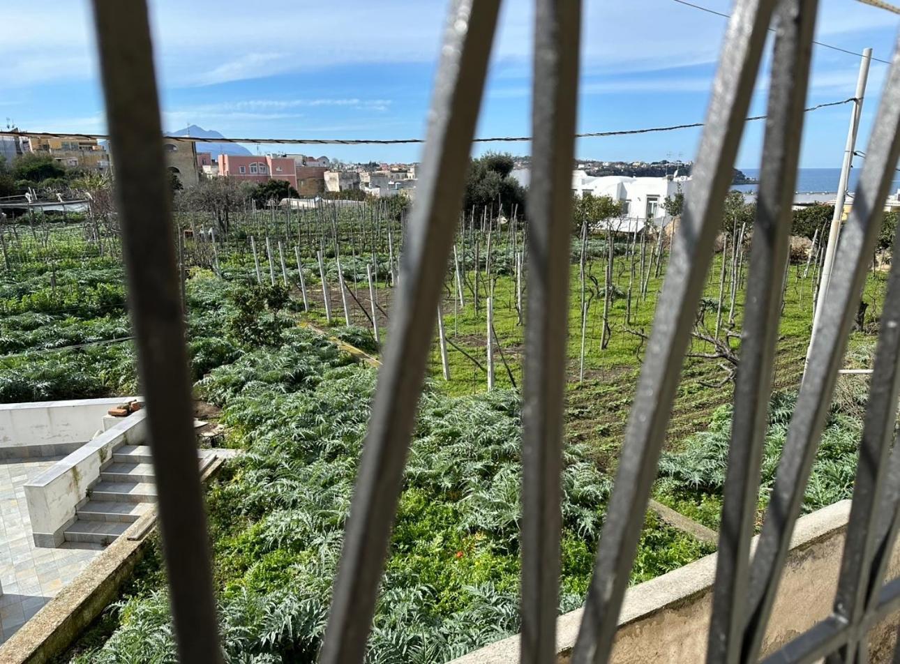 Willa La Casa Dei Sogni Procida Zewnętrze zdjęcie