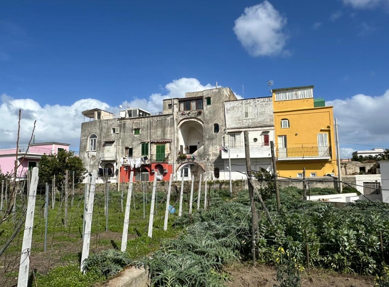 Willa La Casa Dei Sogni Procida Zewnętrze zdjęcie