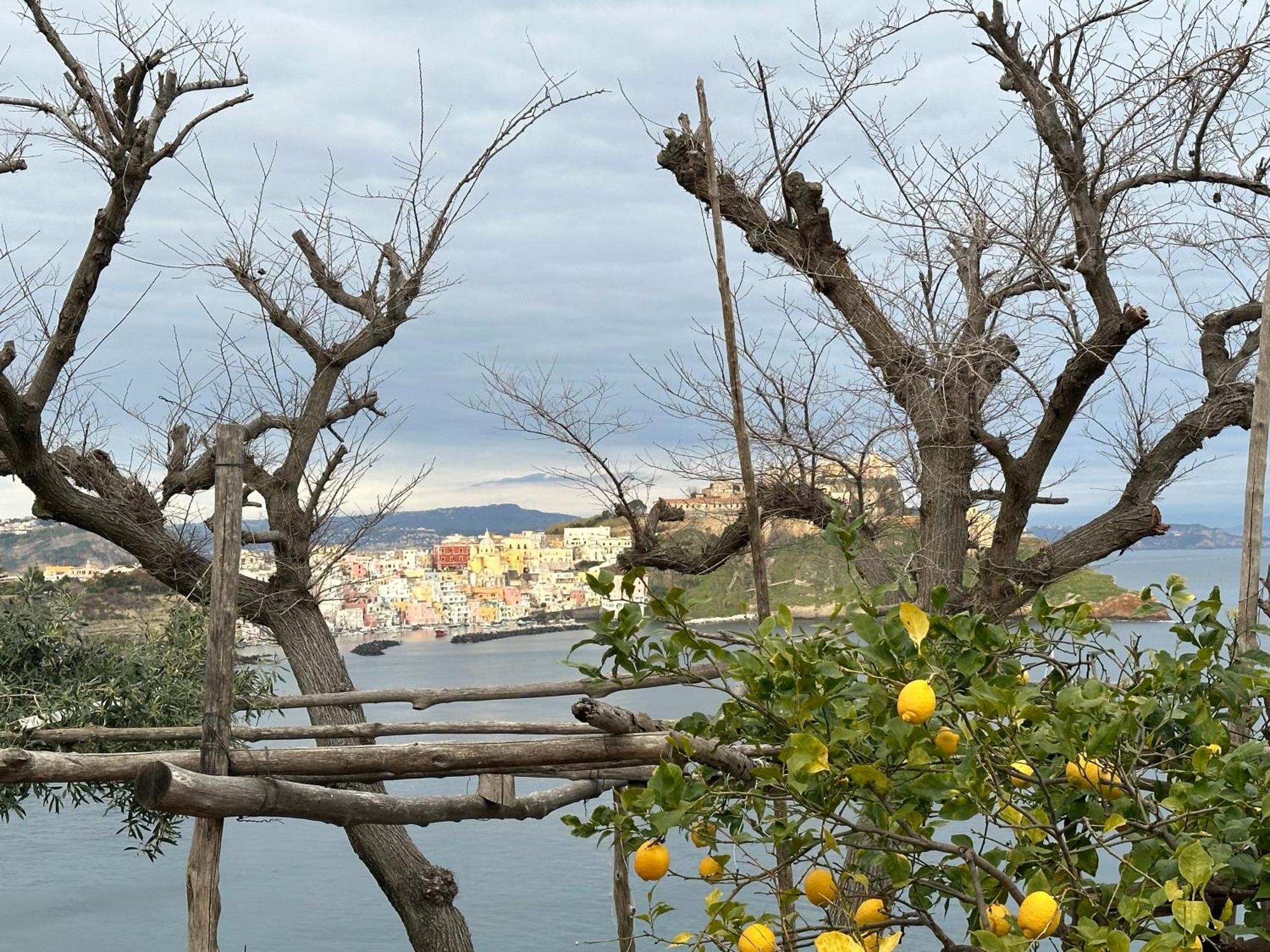 Willa La Casa Dei Sogni Procida Zewnętrze zdjęcie